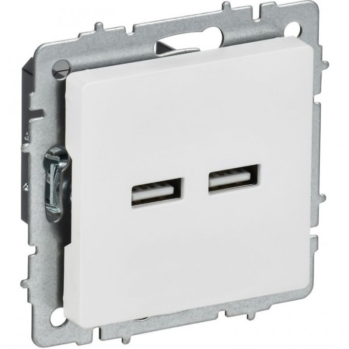 Розетка IEK BRITE BR-U21-D31-K91